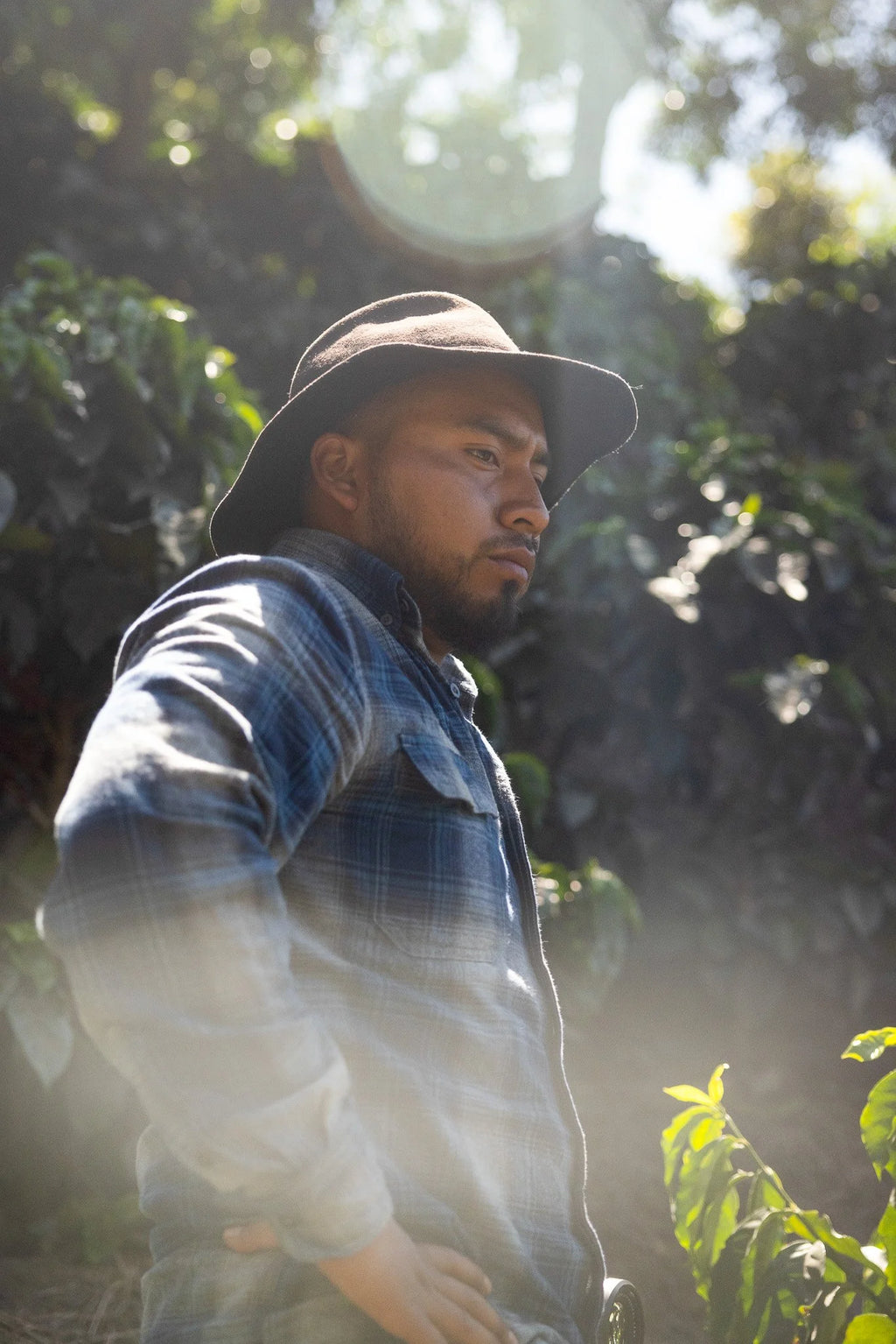 La Armonia Hermosa | Guatemala