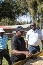 Stephen Vienna Coffee