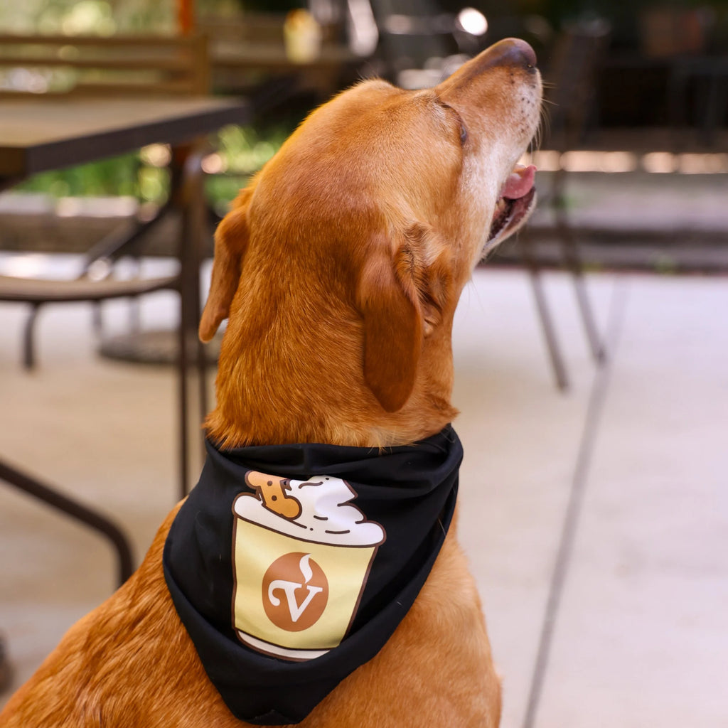 Pup Cup Dog Bandana