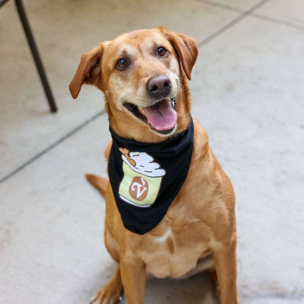 Pup Cup Dog Bandana